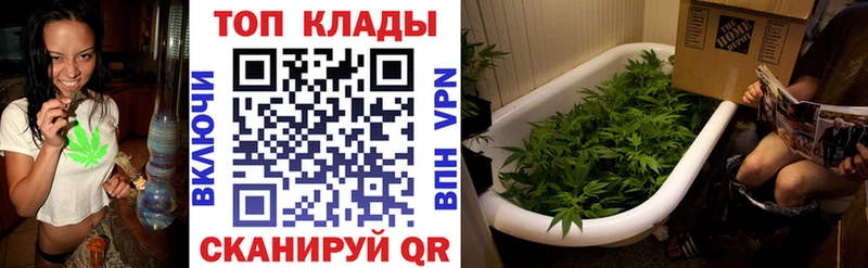 Виды наркотиков купить Сергач Каннабис  MEGA зеркало  ГАШИШ  Кокаин  A-PVP  Бутират 