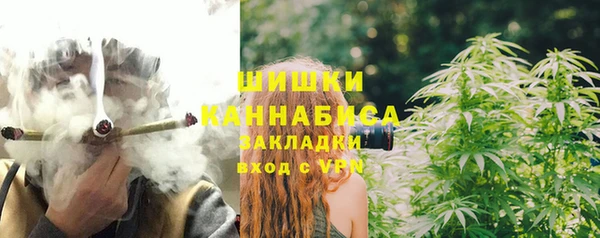 прущая мука Арсеньев