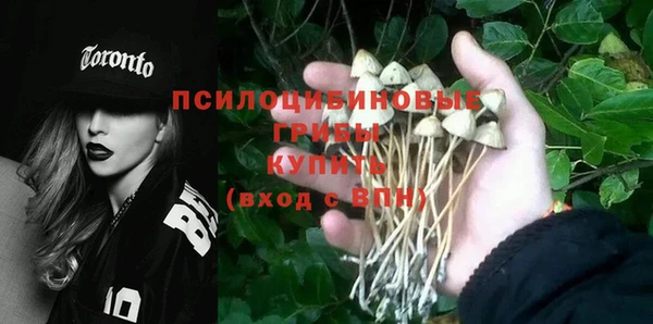 прущая мука Арсеньев